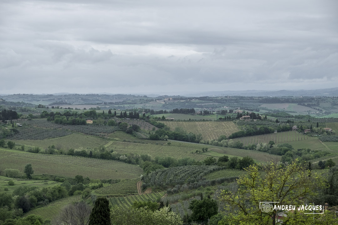 Toscane 2014 92.jpg
